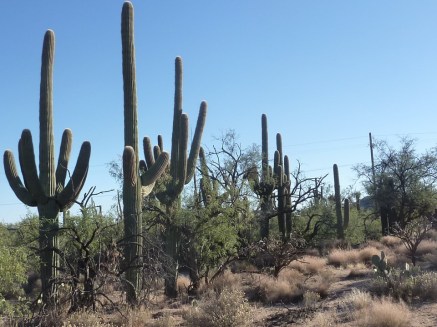 20160929_inaugurelerede_nederhof
