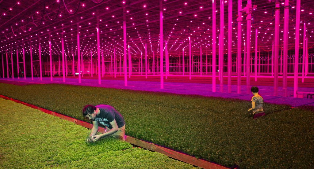 Topsectorenbeleid = niet meer innovatie – TOP BV